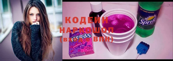 индика Белокуриха